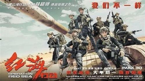 国产一及片,探索中国电影新纪元